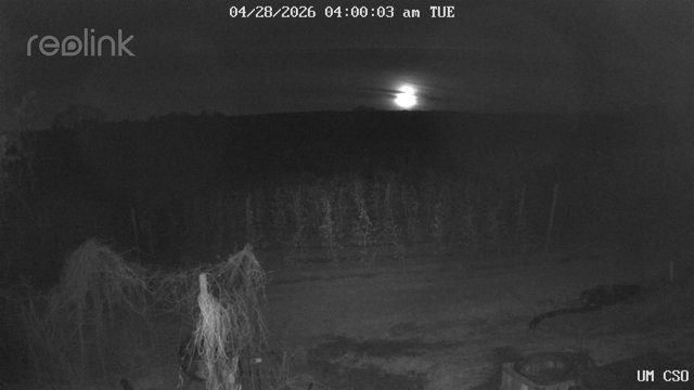 time-lapse frame, UM CSO webcam