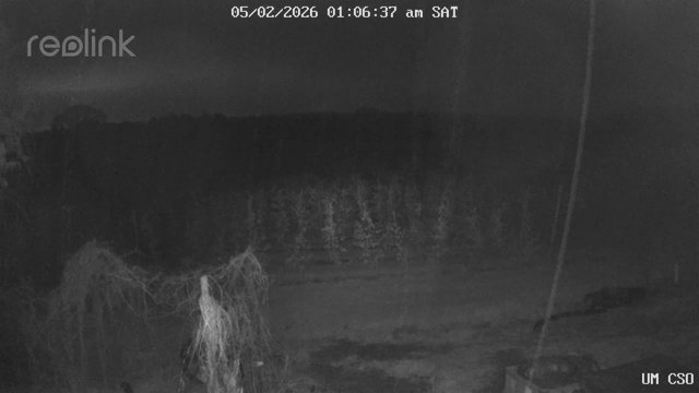 time-lapse frame, UM CSO webcam