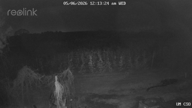 time-lapse frame, UM CSO webcam