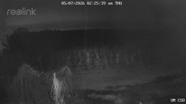 time-lapse frame, UM CSO webcam