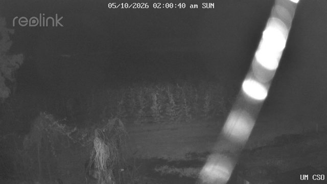 time-lapse frame, UM CSO webcam