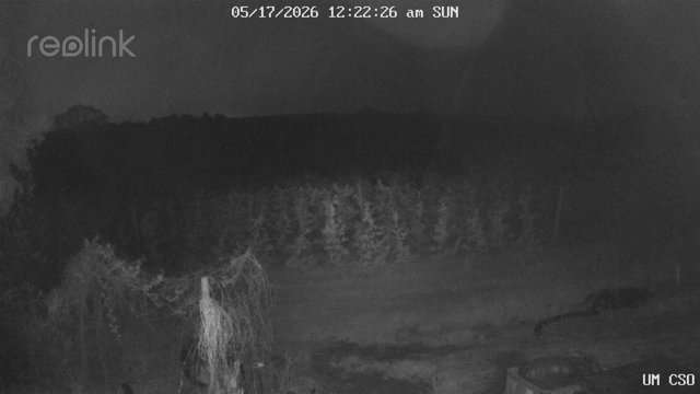 time-lapse frame, UM CSO webcam