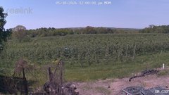 view from UM CSO on 2026-05-18