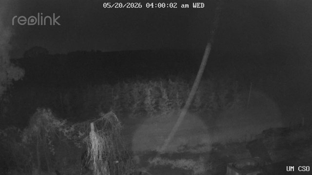 time-lapse frame, UM CSO webcam