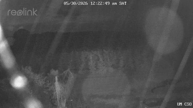 time-lapse frame, UM CSO webcam