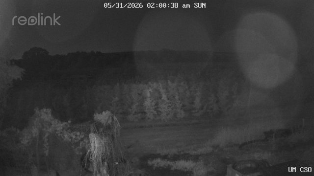 time-lapse frame, UM CSO webcam