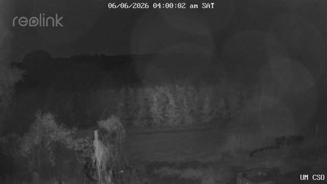 time-lapse frame, UM CSO webcam