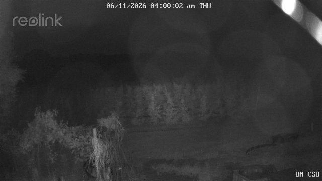time-lapse frame, UM CSO webcam