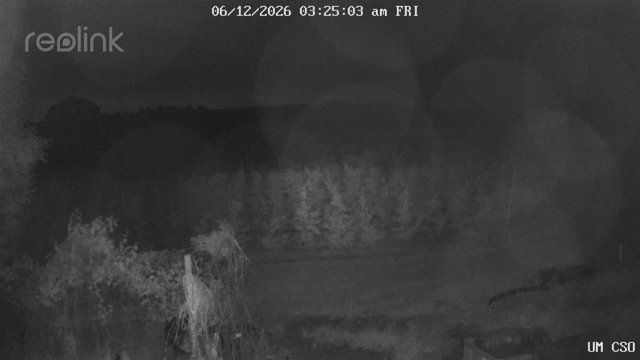 time-lapse frame, UM CSO webcam
