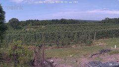 view from UM CSO on 2026-06-12