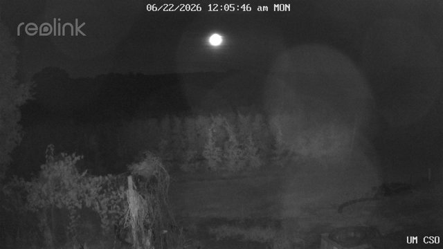 time-lapse frame, UM CSO webcam