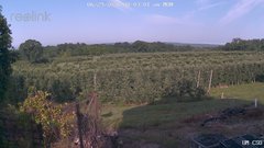 view from UM CSO on 2026-06-29