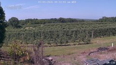 view from UM CSO on 2026-07-01