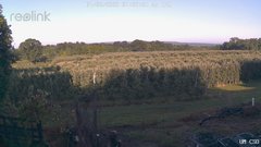 view from UM CSO on 2026-07-02