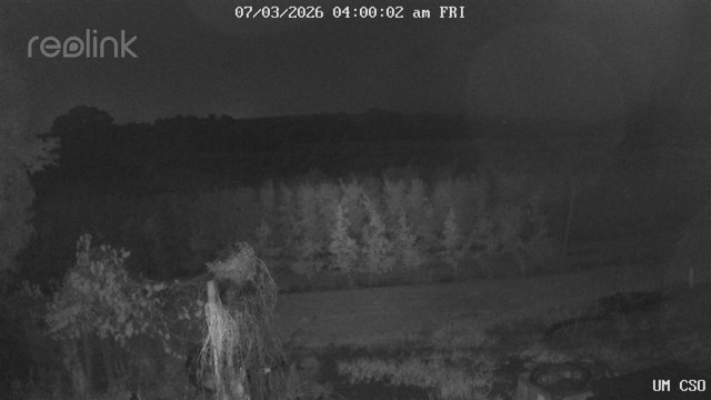 time-lapse frame, UM CSO webcam