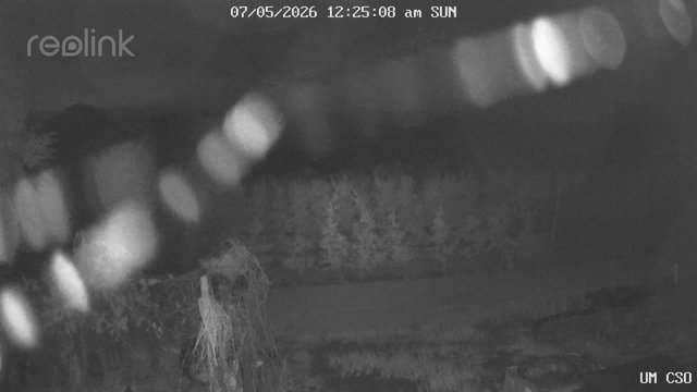 time-lapse frame, UM CSO webcam