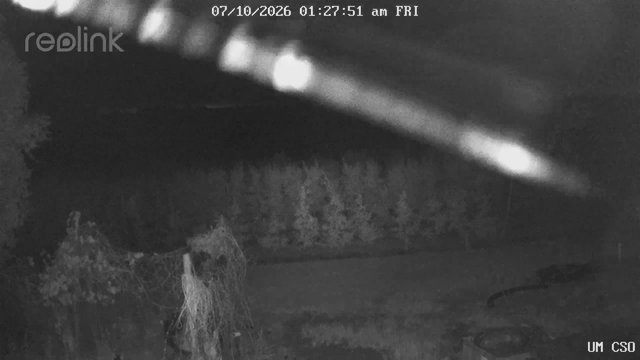 time-lapse frame, UM CSO webcam