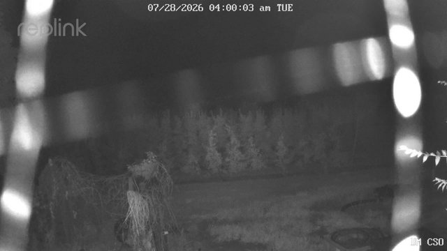 time-lapse frame, UM CSO webcam