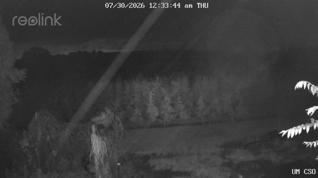 time-lapse frame, UM CSO webcam