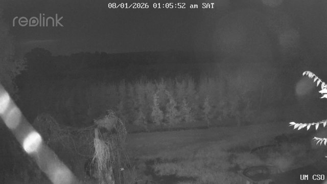 time-lapse frame, UM CSO webcam