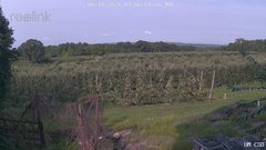 view from UM CSO on 2026-08-11