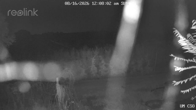 time-lapse frame, UM CSO webcam