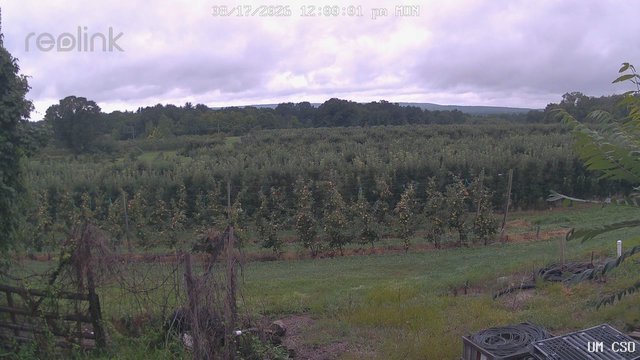 view from UM CSO on 2026-08-17