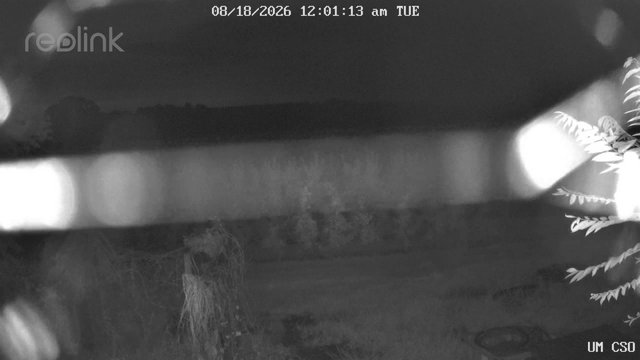 time-lapse frame, UM CSO webcam
