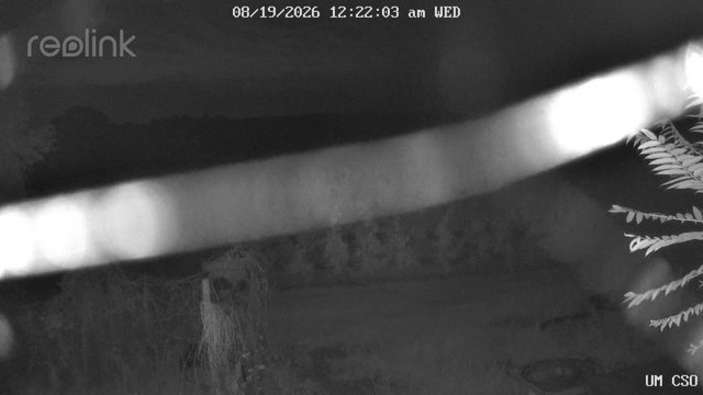 time-lapse frame, UM CSO webcam