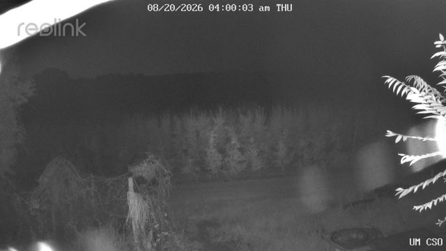 time-lapse frame, UM CSO webcam