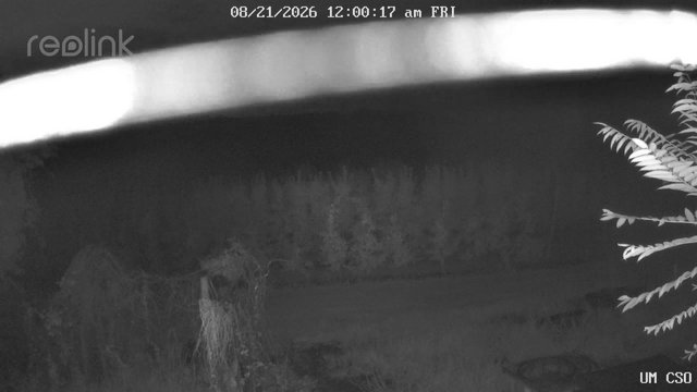 time-lapse frame, UM CSO webcam