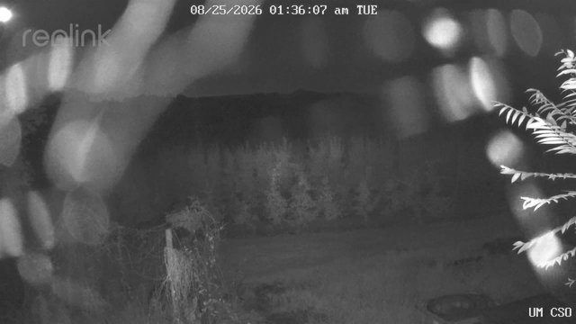 time-lapse frame, UM CSO webcam