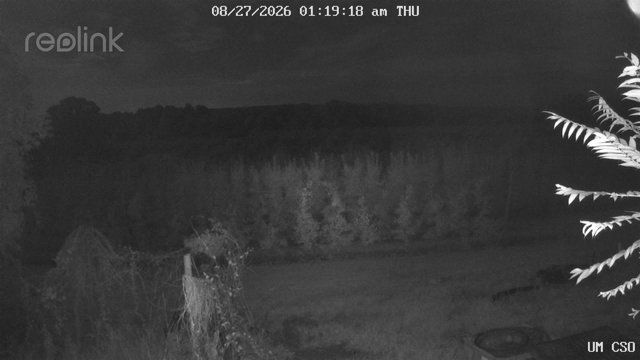 time-lapse frame, UM CSO webcam