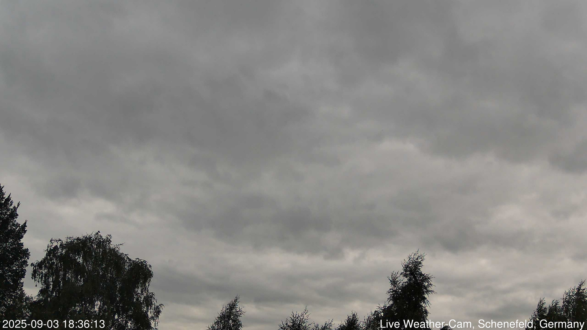 time-lapse frame, 2025-09-03 18:36-21:06 webcam