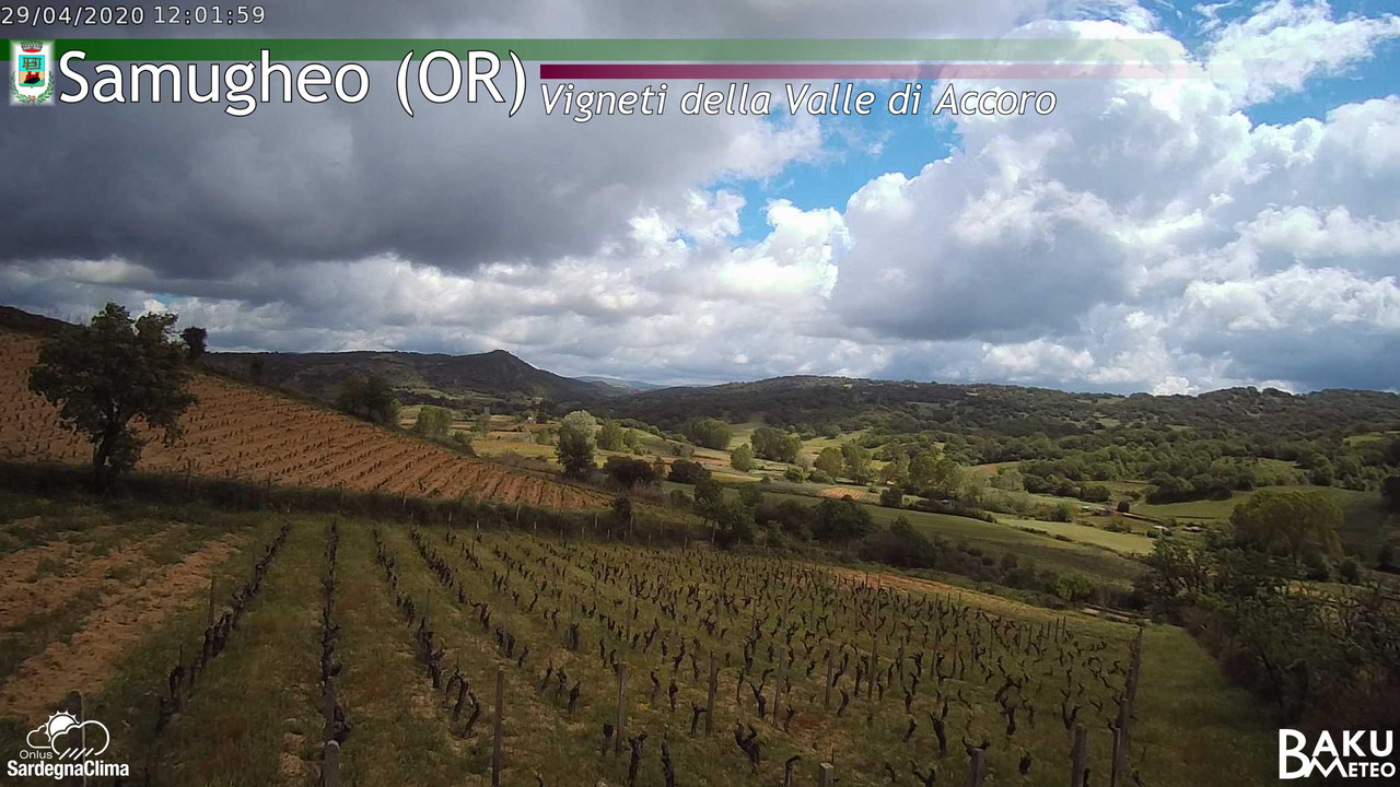 time-lapse frame,  webcam