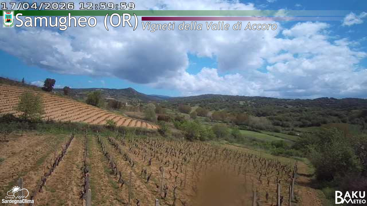 Samugheo animated GIF