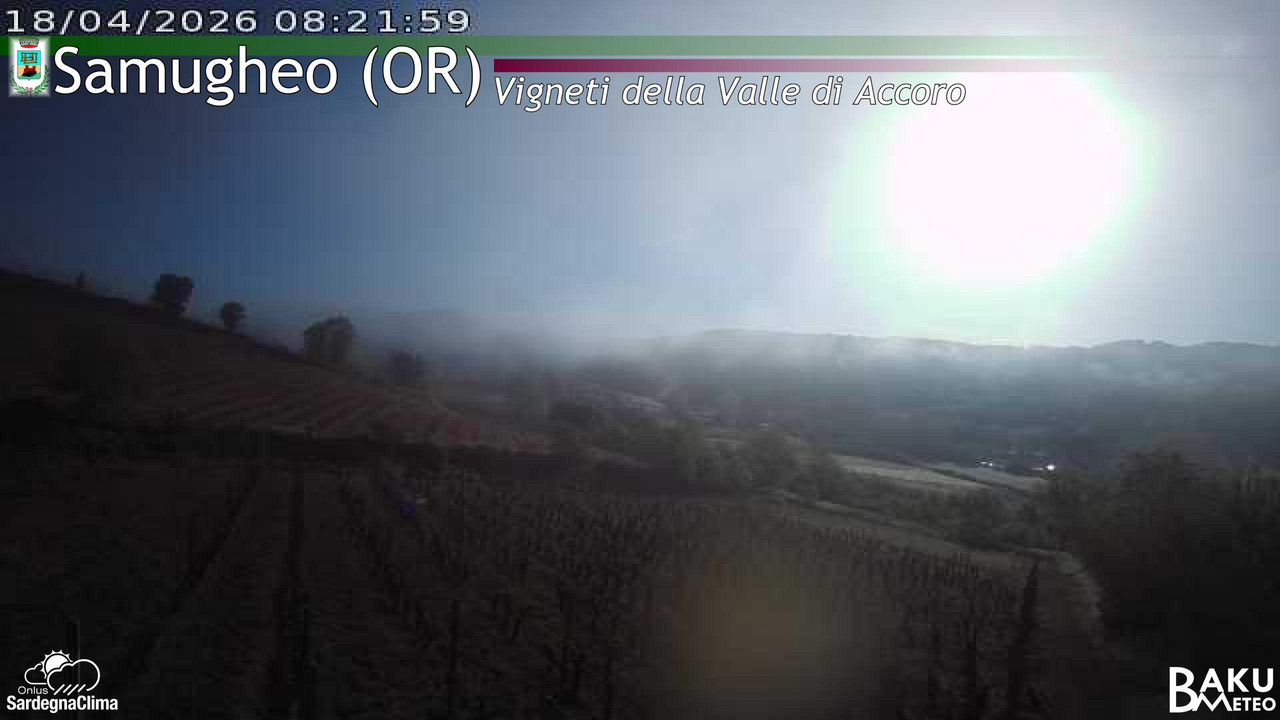 Samugheo animated GIF