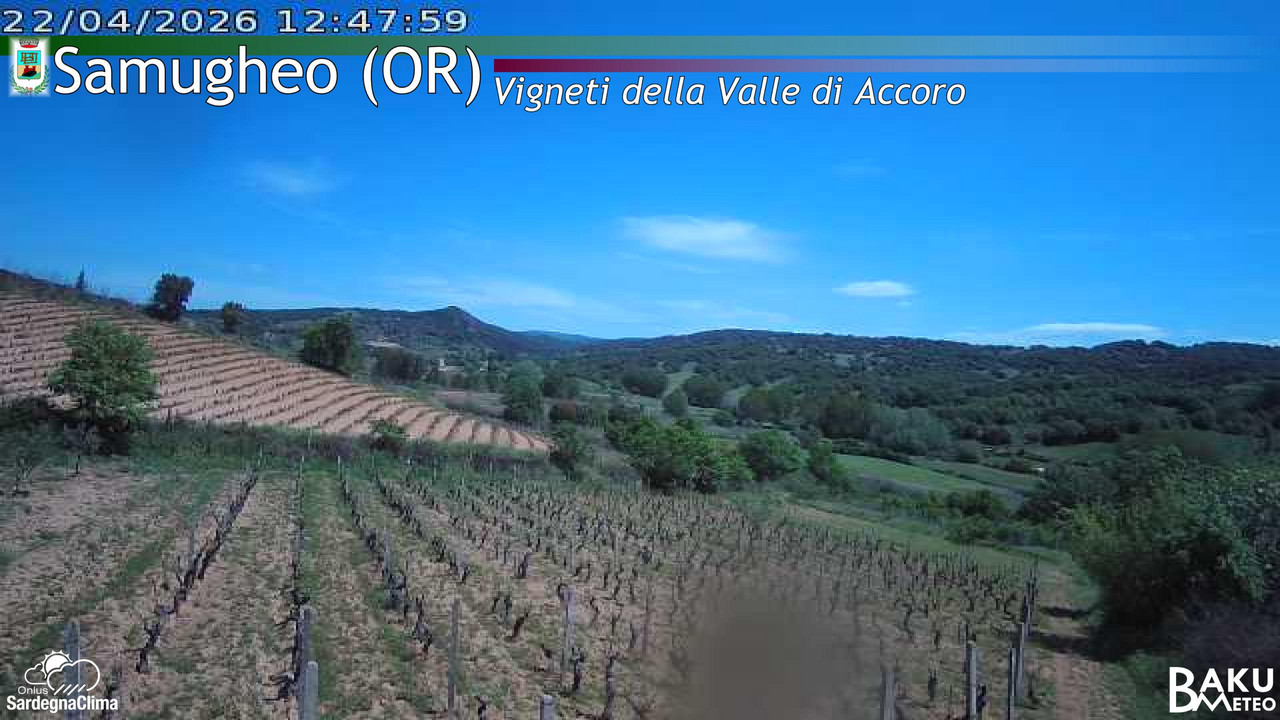 Samugheo animated GIF