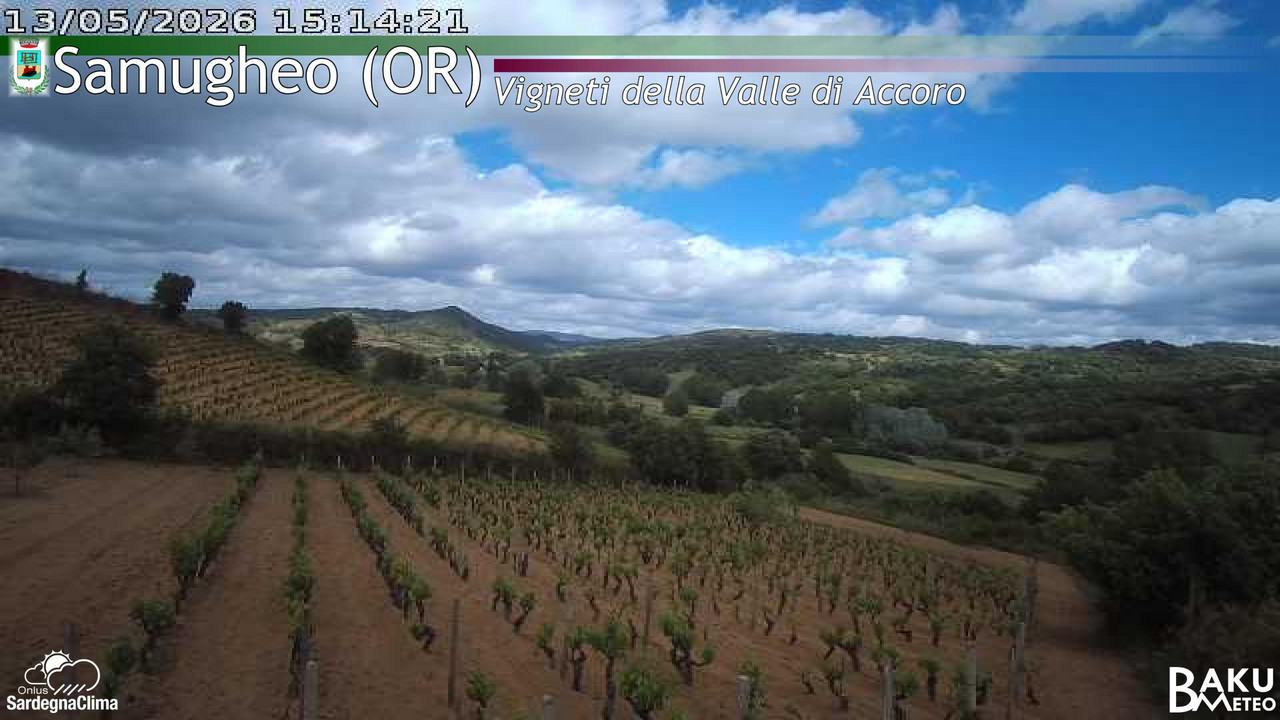 time-lapse frame, Samugheo webcam