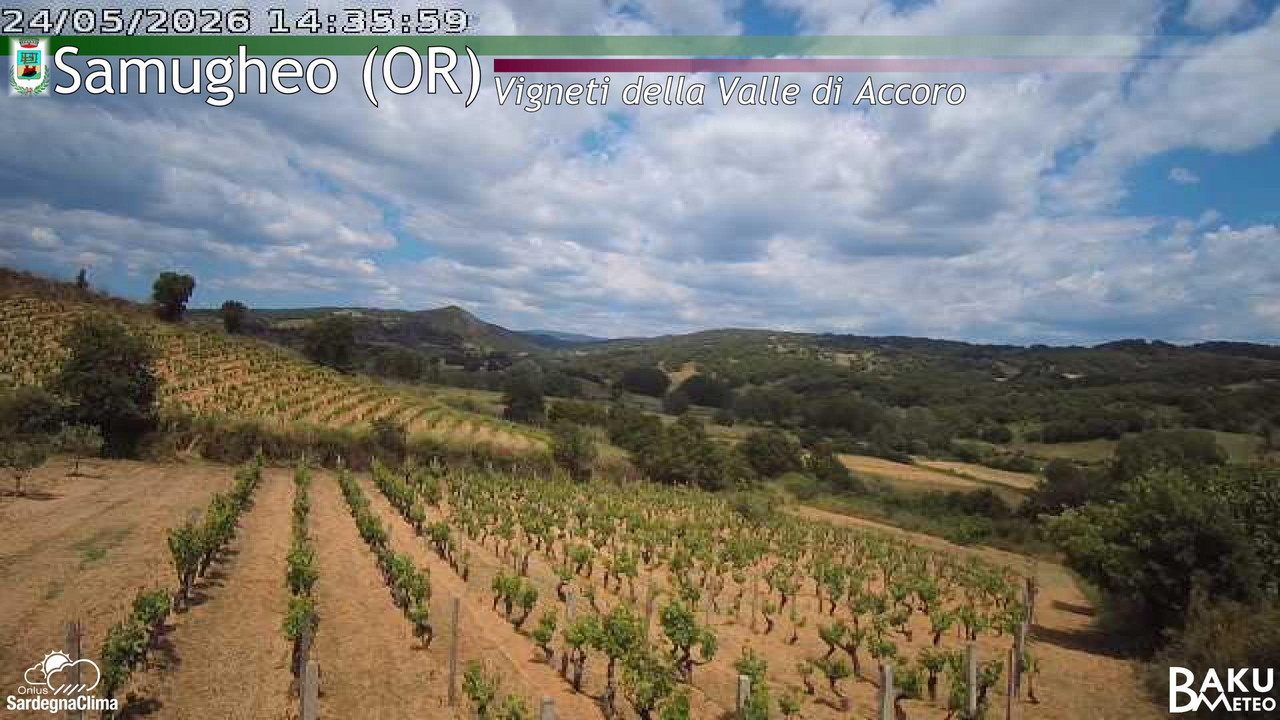 time-lapse frame, Samugheo webcam