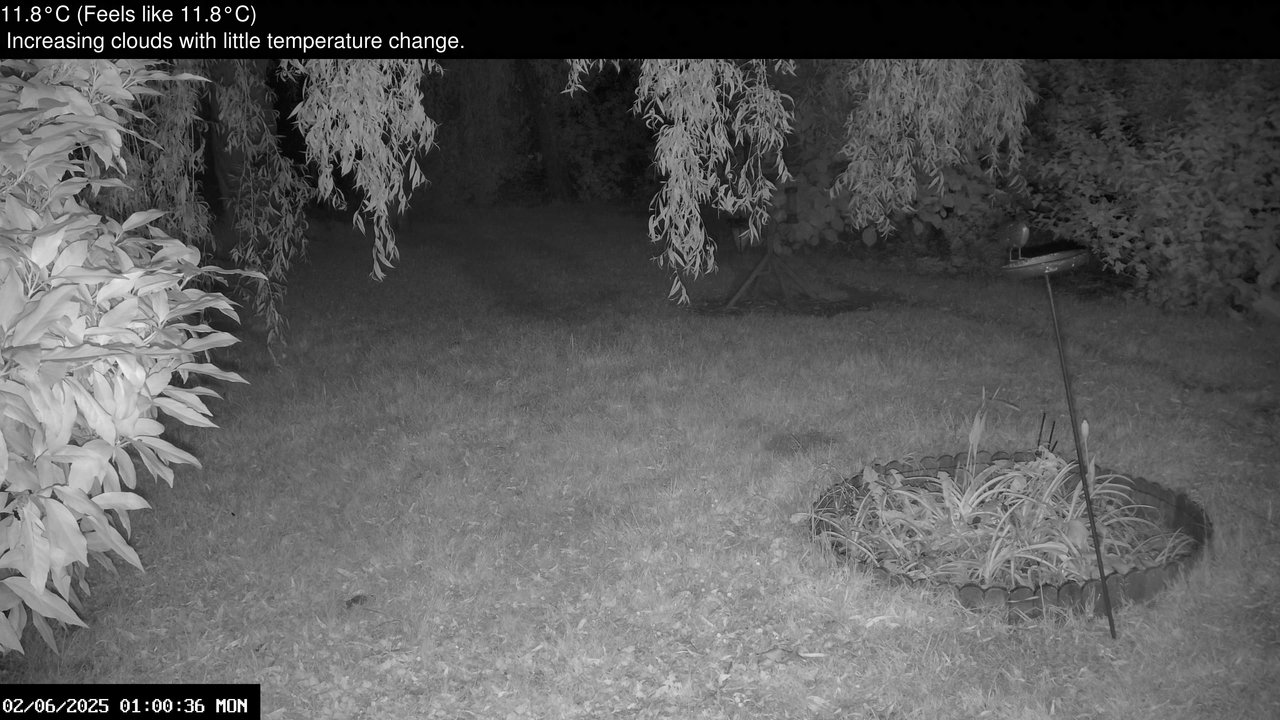 time-lapse frame, Wembury, Devon. Garden Zoom Cam webcam