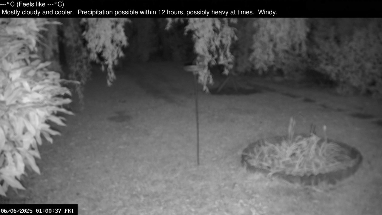 time-lapse frame, Wembury, Devon. Garden Zoom Cam webcam