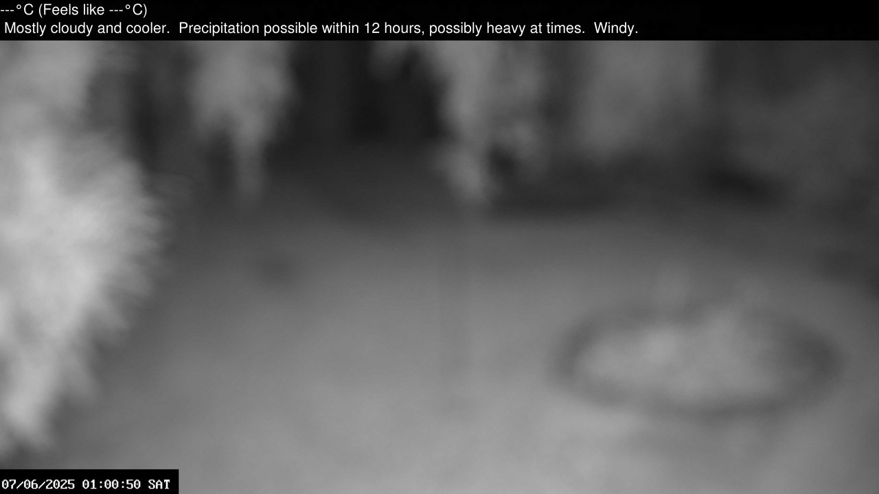 time-lapse frame, Wembury, Devon. Garden Zoom Cam webcam
