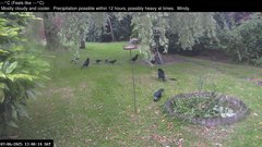 view from Wembury, Devon. Garden Zoom Cam on 2025-06-07