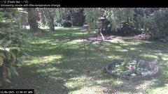 view from Wembury, Devon. Garden Zoom Cam on 2025-06-11