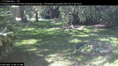 view from Wembury, Devon. Garden Zoom Cam on 2025-06-15