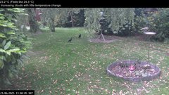 view from Wembury, Devon. Garden Zoom Cam on 2025-06-21
