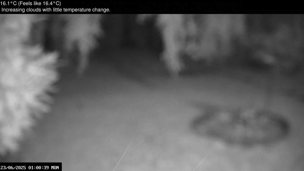 time-lapse frame, Wembury, Devon. Garden Zoom Cam webcam