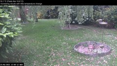 view from Wembury, Devon. Garden Zoom Cam on 2025-06-25