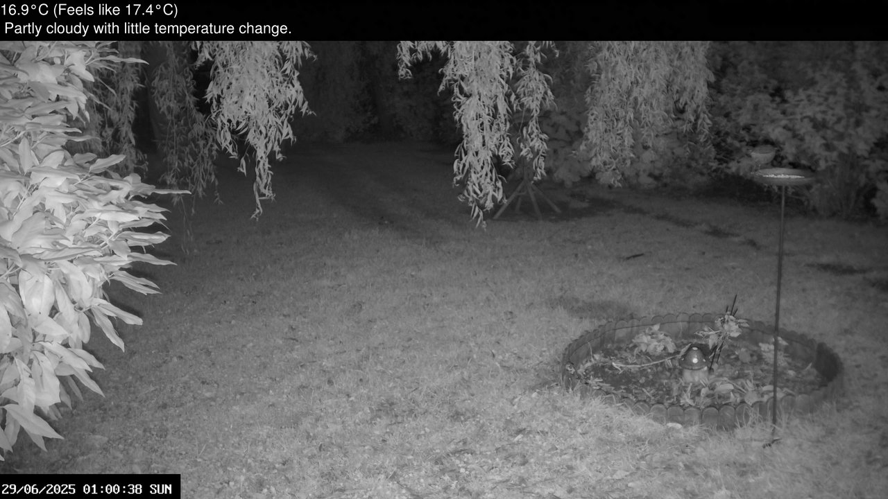 time-lapse frame, Wembury, Devon. Garden Zoom Cam webcam